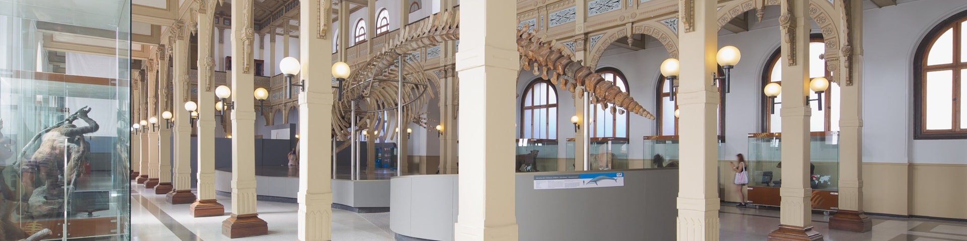 Museu Nacional de História Natural mostrando vistas internas