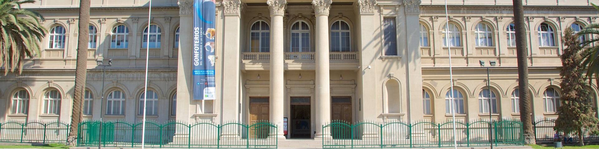 National Museum of Natural History showing street scenes