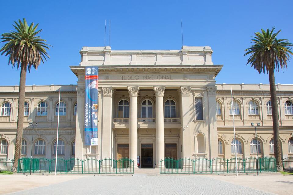 Un edificio grande de estilo clásico con columnas y ventanas arqueadas, rodeado de palmeras y una cerca verde.