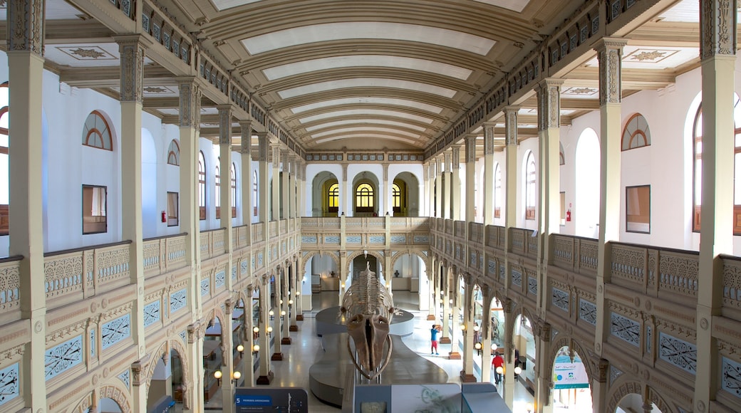 National Museum of Natural History featuring interior views and a city