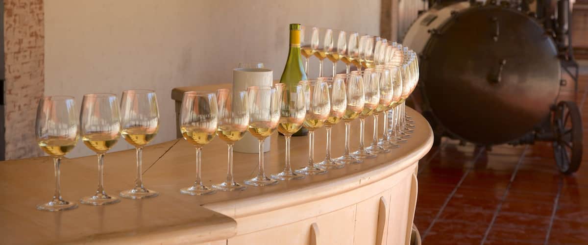 ์ฝ์ฑ & ํ ๋ก ์์ด๋๋ฆฌ ์ ๋ณด์ฌ์ฃผ๋ ์๋ฃ ๋๋ ์ฃผ๋ฅ ๊ณผ ์ค๋ด ์ ๊ฒฝ