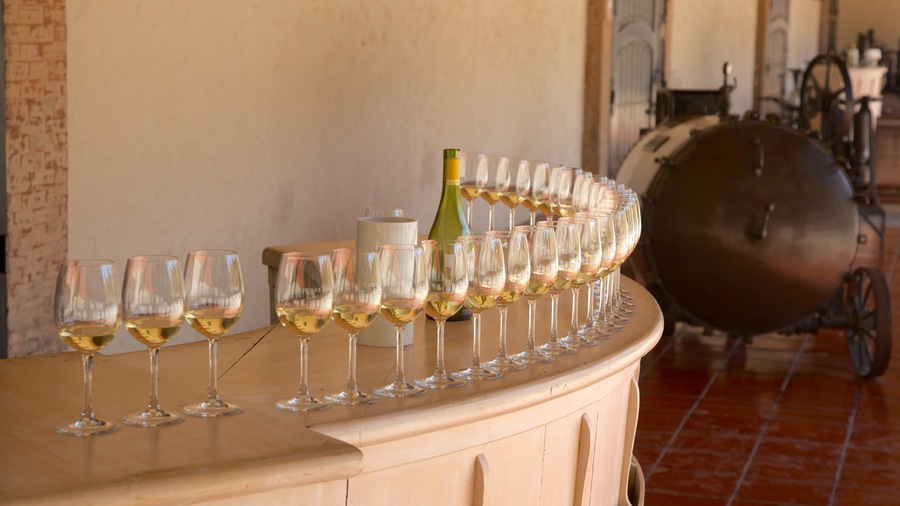 Concha Y Toro Winery showing drinks or beverages and interior views