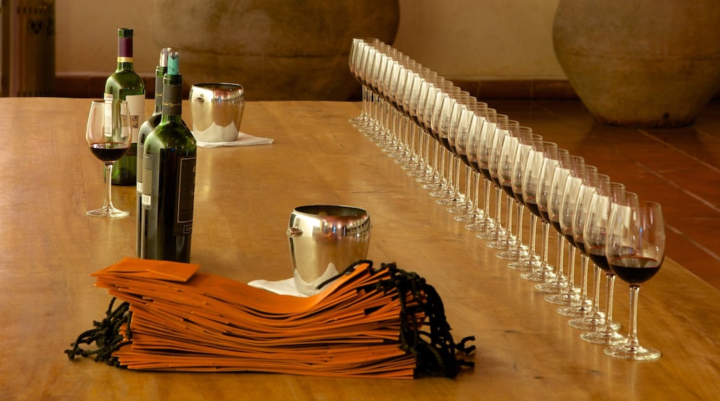 Exploitation vinicole Concha y Toro qui includes vues intérieures et boissons