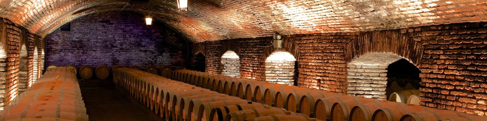 A wine cellar with rows of wooden barrels and brick walls.