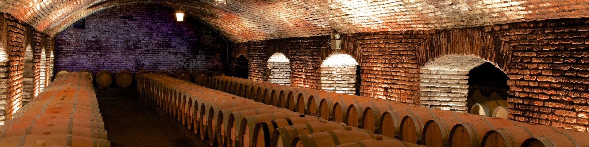 Una bodega con hileras de barriles de madera y paredes de ladrillo.