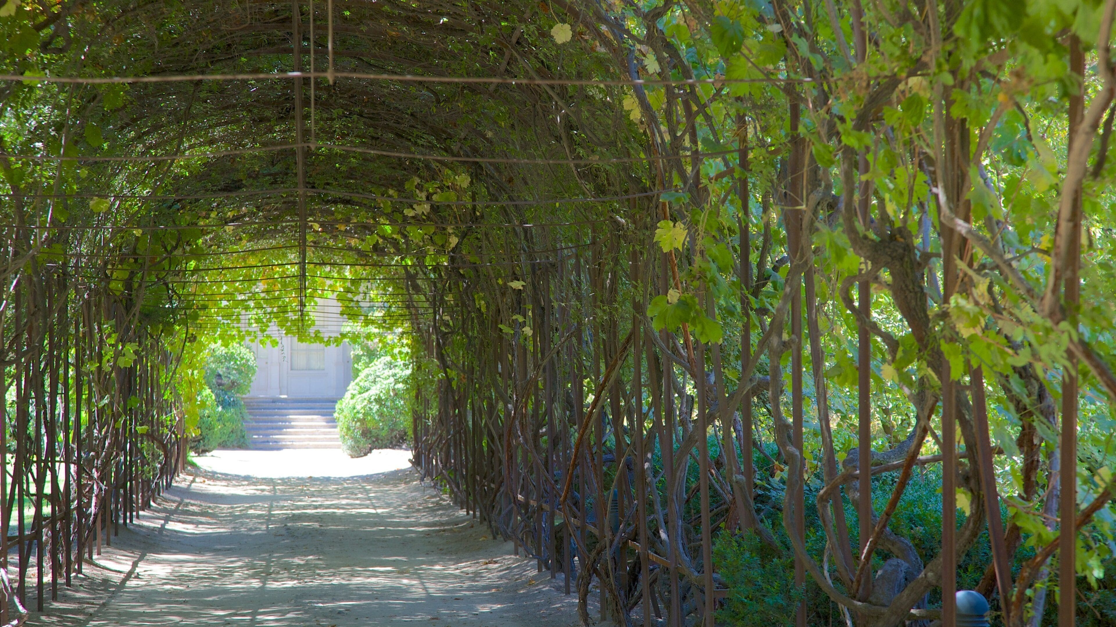 Concha Y Toro Winery