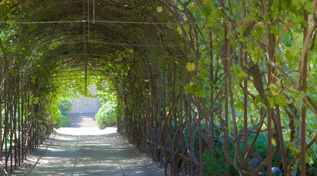 Concha Y Toro Winery