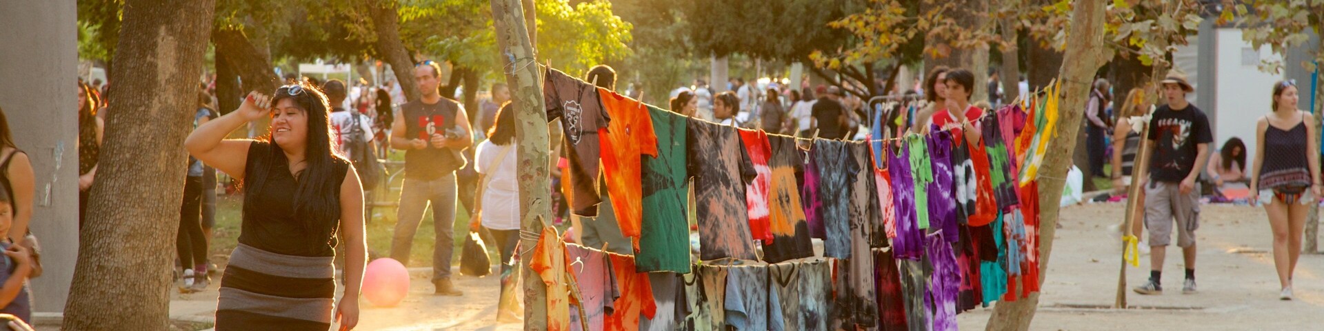 Parque Forestal mostrando um parque assim como um grande grupo de pessoas