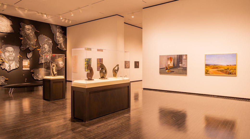 Art Gallery of Alberta showing interior views and art