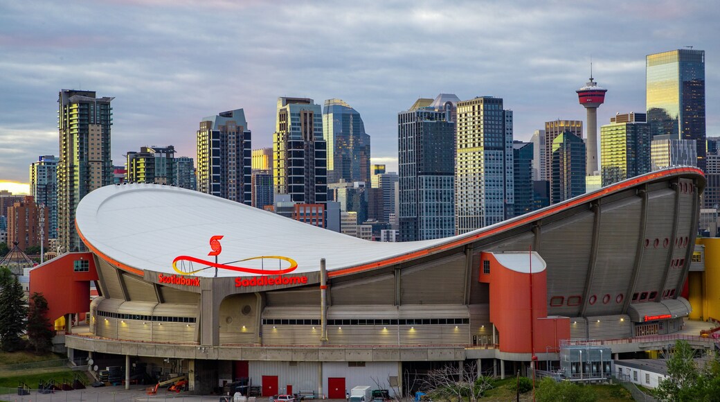 Scotiabank Saddledome showing landscape views, modern architecture and a city
