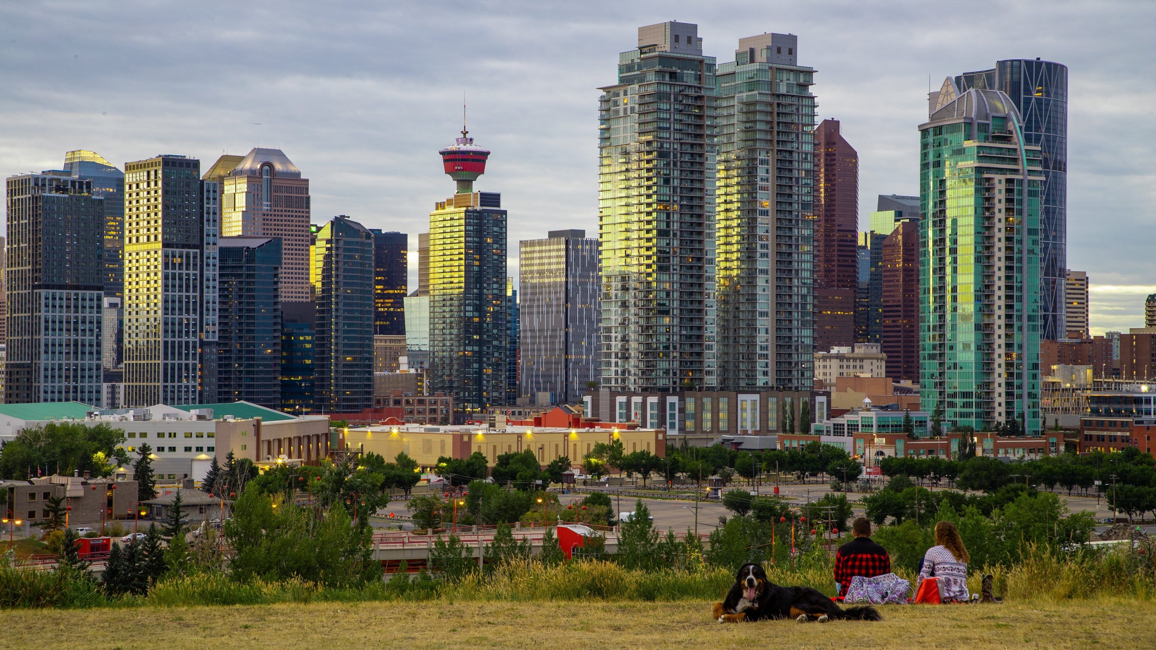 Scotiabank Saddledome showing cuddly or friendly animals, picnicing and a city