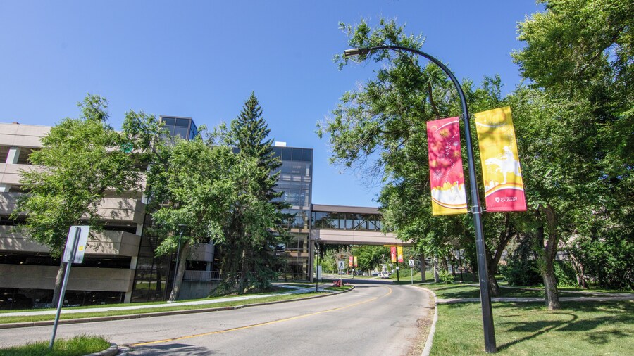 Universiteit van Calgary