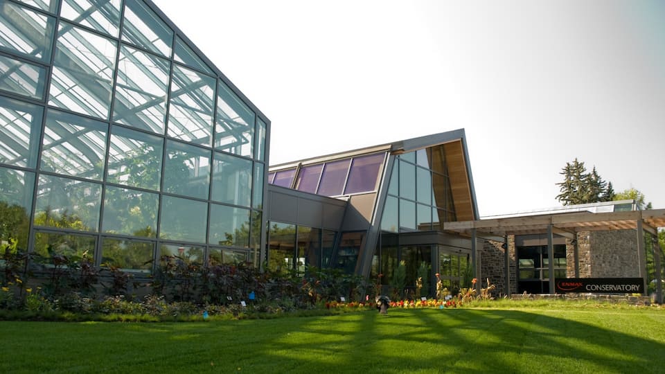 Calgary Zoo which includes zoo animals