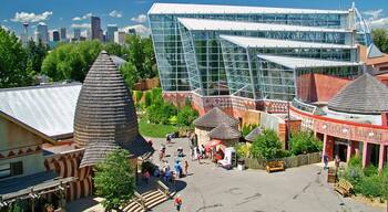 Calgary Zoo which includes modern architecture, zoo animals and a city