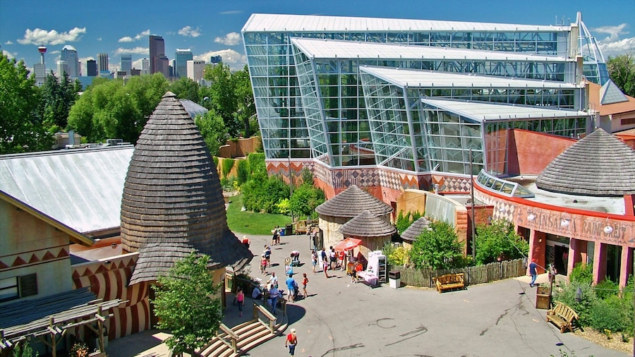 Calgary Zoo which includes modern architecture, zoo animals and a city