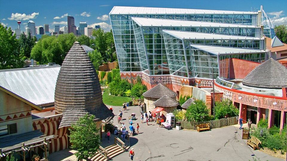 Calgary Zoo which includes modern architecture, zoo animals and a city