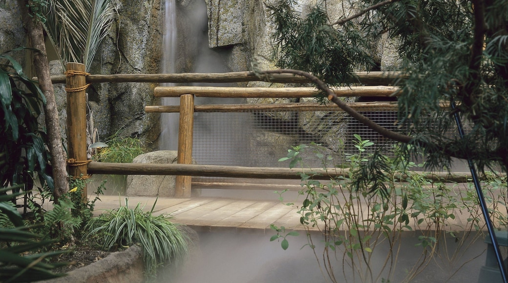 Calgary Zoo presenterar dimma och zoodjur