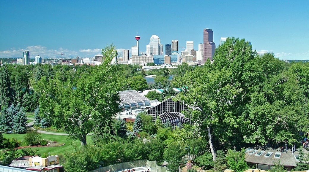 Calgary Zoo som visar en stad