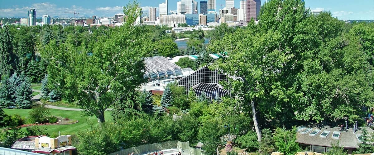 Calgary Zoo featuring kaupunki