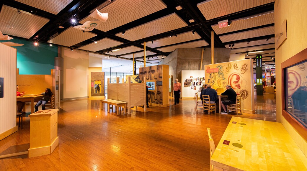 TELUS Spark featuring interior views