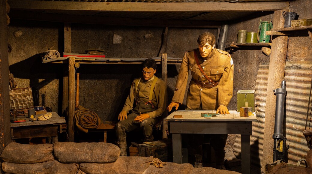 The Military Museums showing interior views