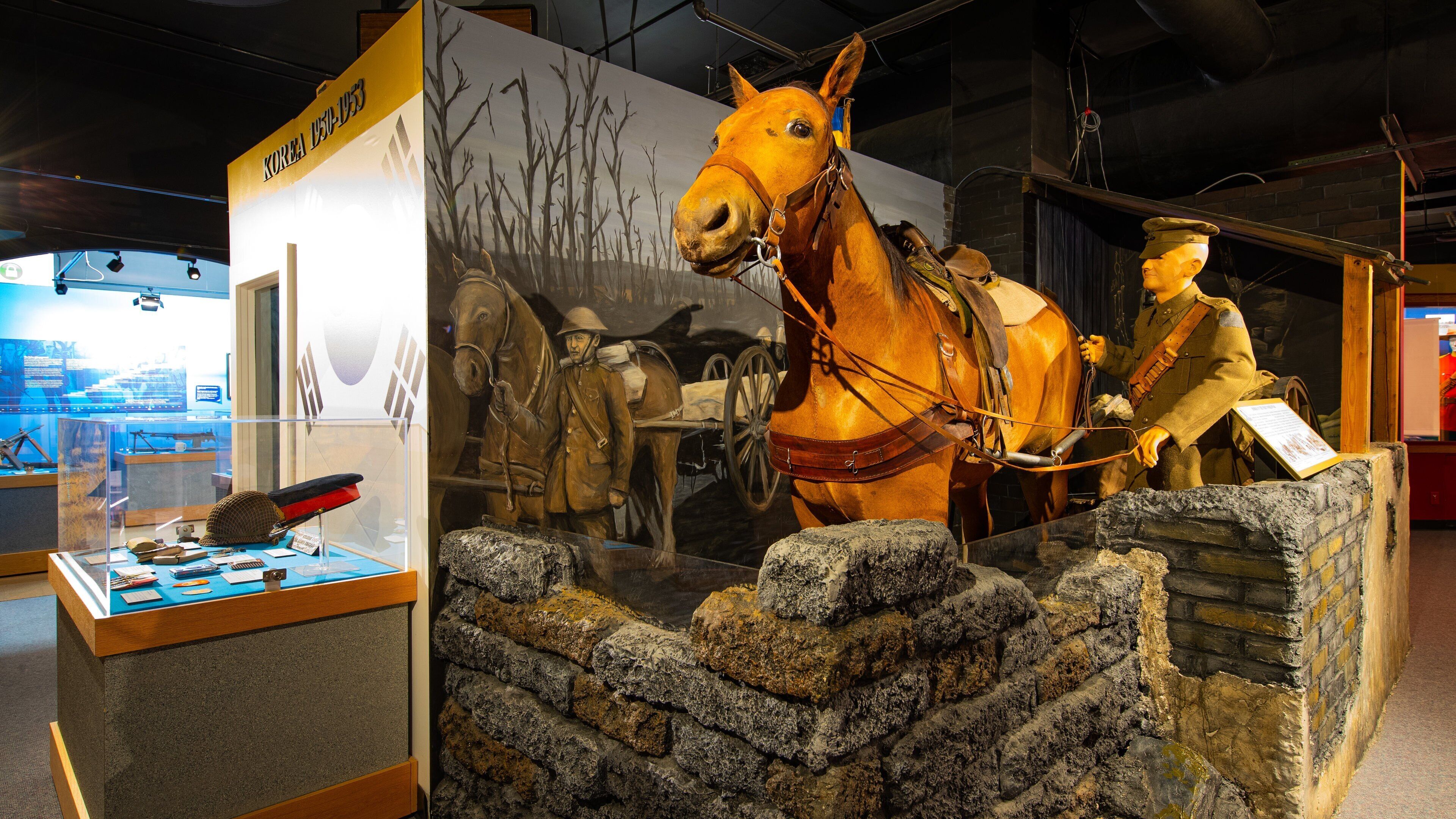 The Military Museums featuring interior views