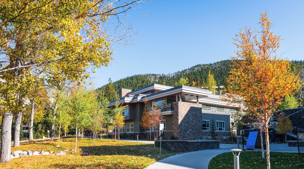 Centro educativo Banff Centre for Arts and Creativity