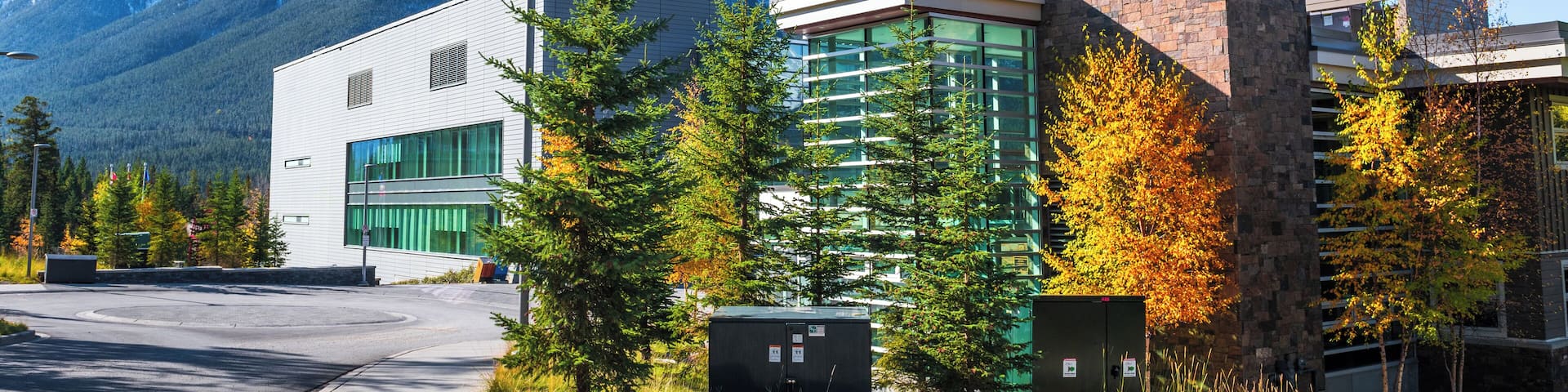 EyeEm Custom Shoots Q4 2018