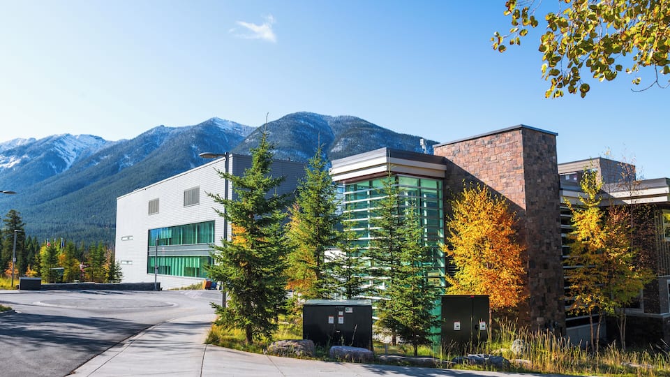 EyeEm Custom Shoots Q4 2018