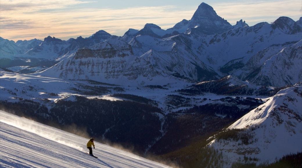 Sunshine Village featuring mountains, snow skiing and snow