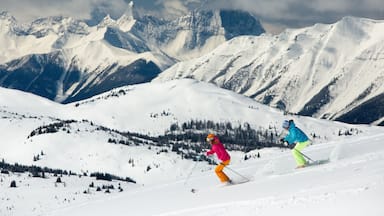 Sunshine Village featuring snow skiing, snow and mountains