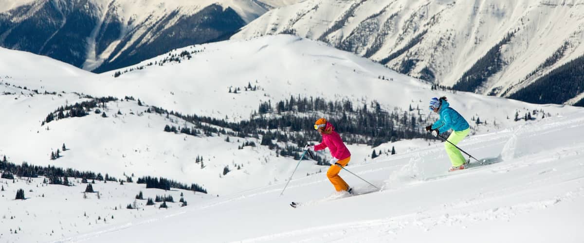 Skiers on a snowy mountain slope with snow-covered peaks and trees in the background.