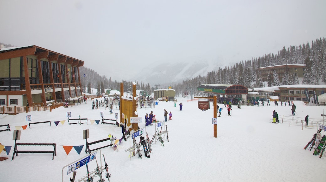 Sunshine Village featuring snow skiing, snow and mountains