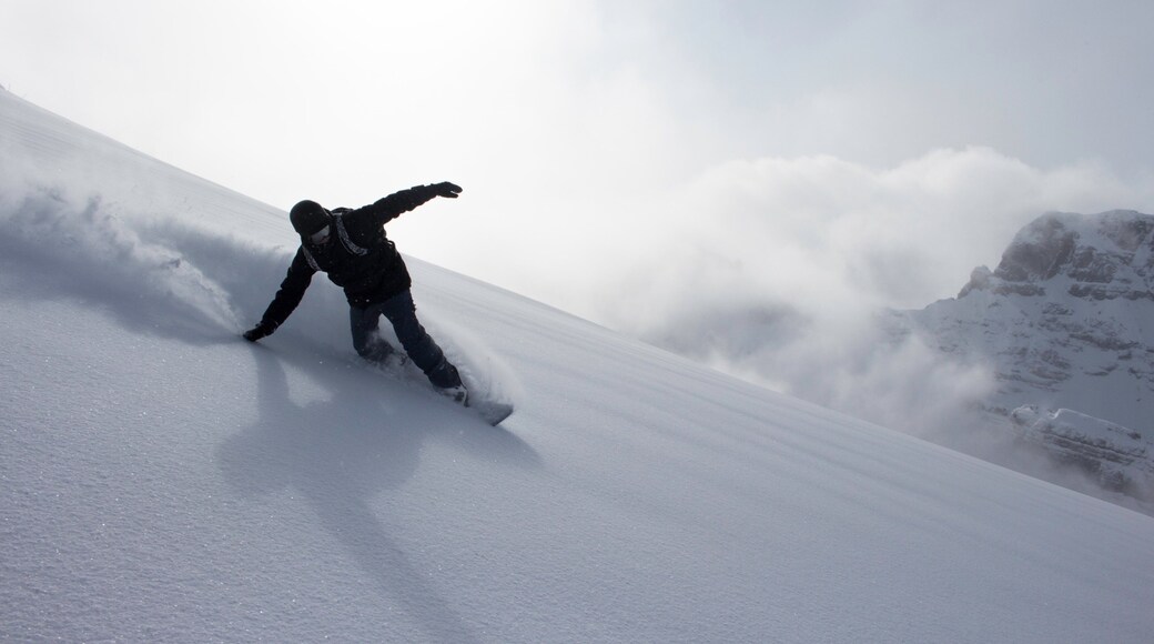 Sunshine Village showing snowboarding and snow