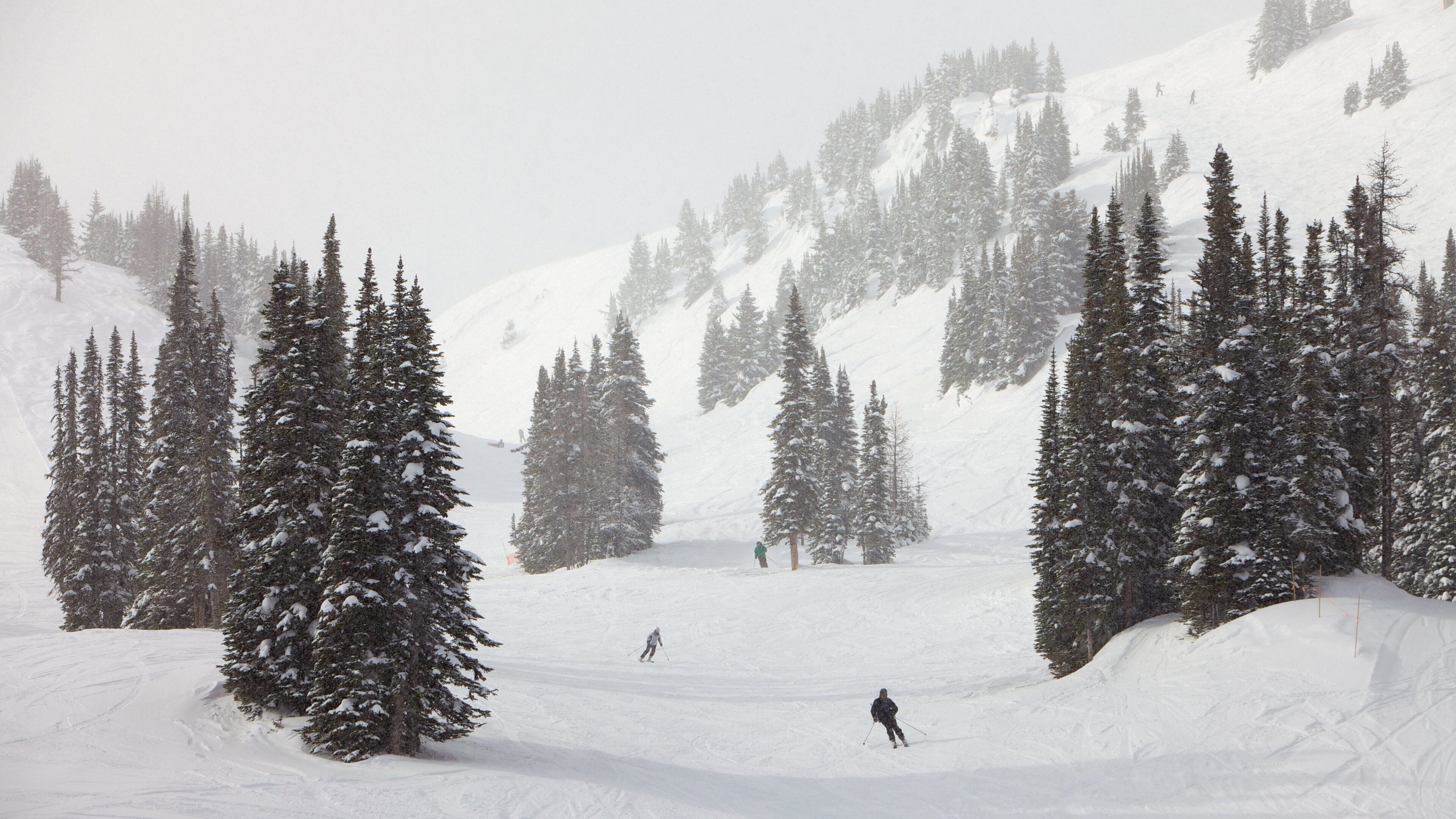Sunshine Village showing snow skiing, landscape views and mountains