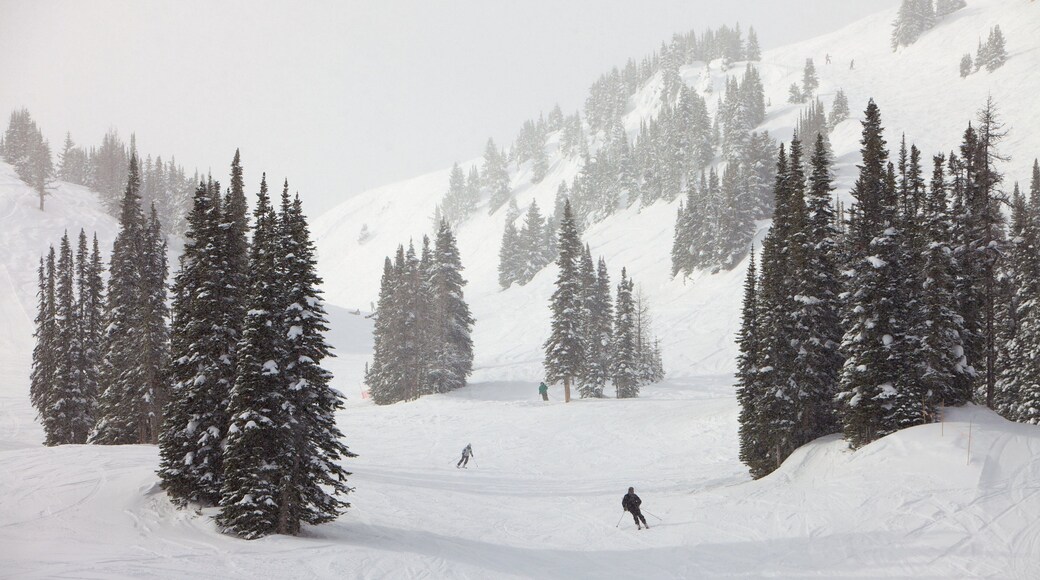 Sunshine Village showing snow skiing, landscape views and mountains