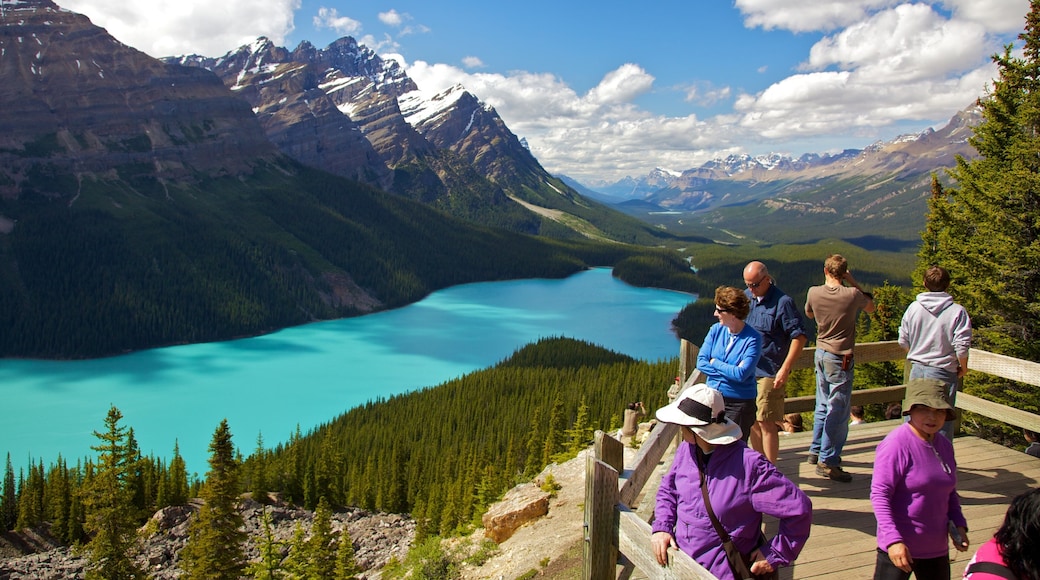 Lago Peyto que incluye vistas panorámicas, un lago o laguna y vistas