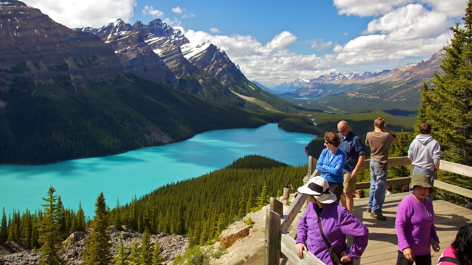 A group of people on a wooden observation deck overlooking turquoise lakes surrounded by mountains.