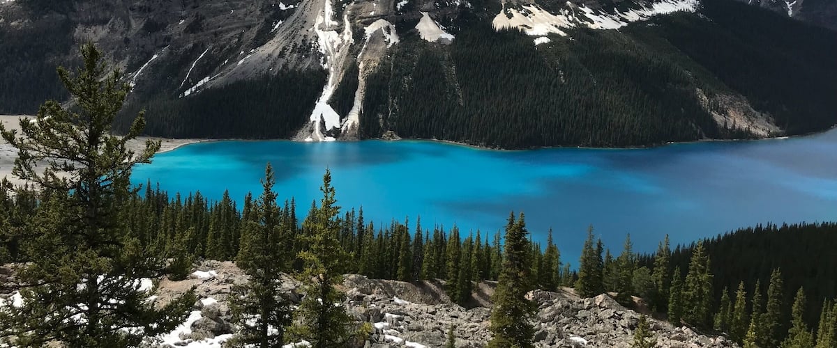 Fantastic and incredible view over Peyto Lake.