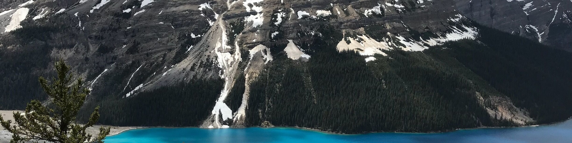 Fantastic and incredible view over Peyto Lake.
