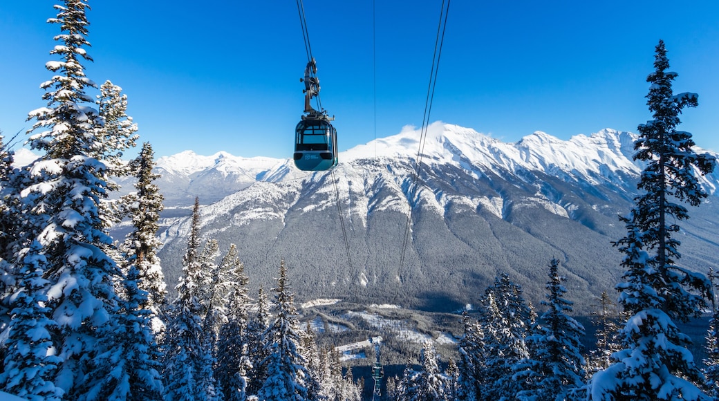 The Banff Sightseeing Gondola is located just 5 minutes from the Town of Banff, on the shoulder of Sulphur Mountain, in the heart of the Canadian Rockies