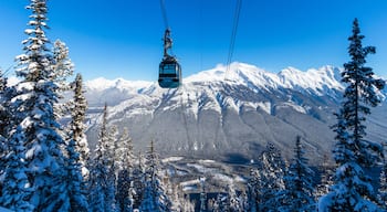 Sulphur Mountain distrikt