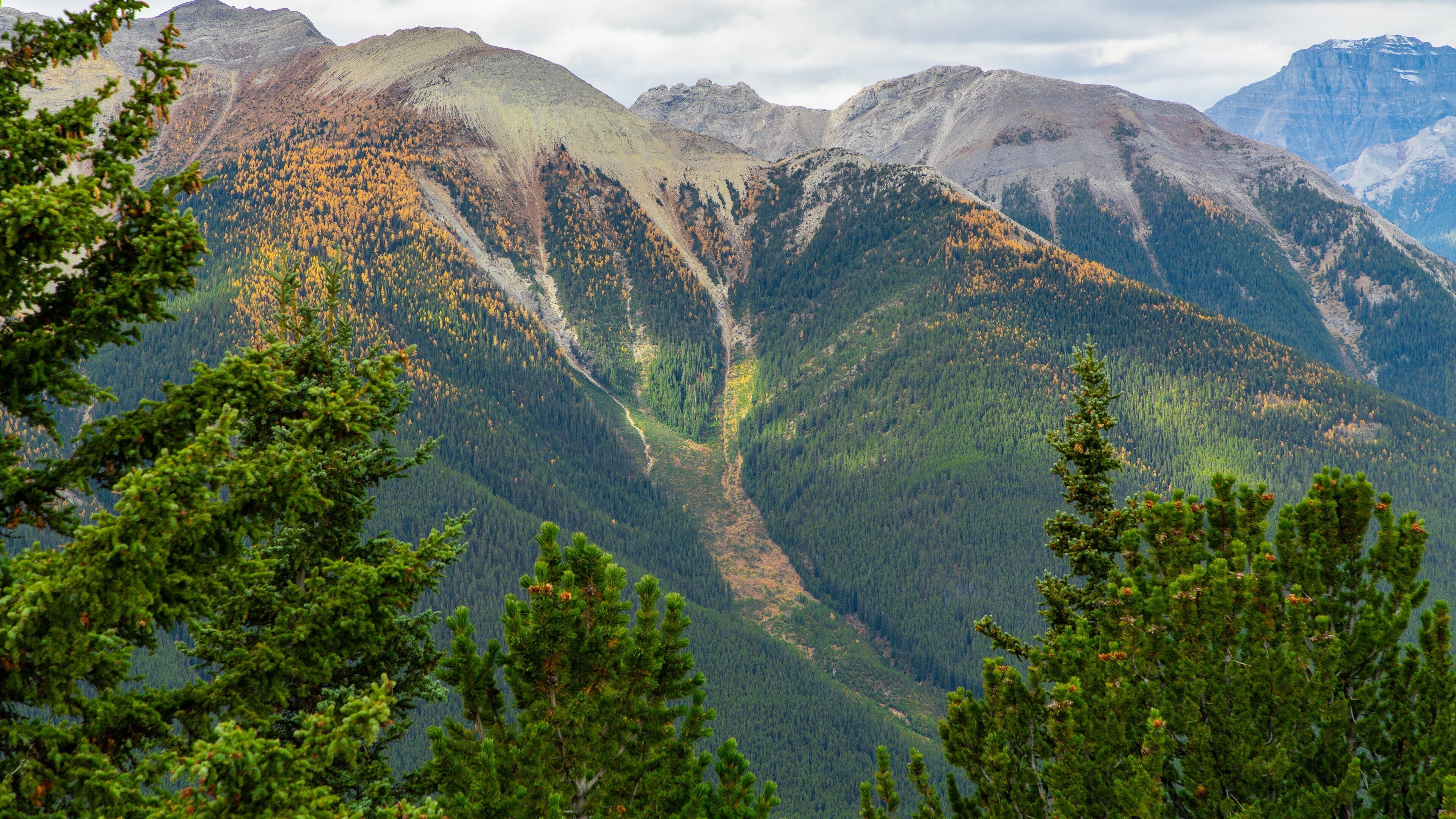 Banff Gondola showing landscape views and mountains