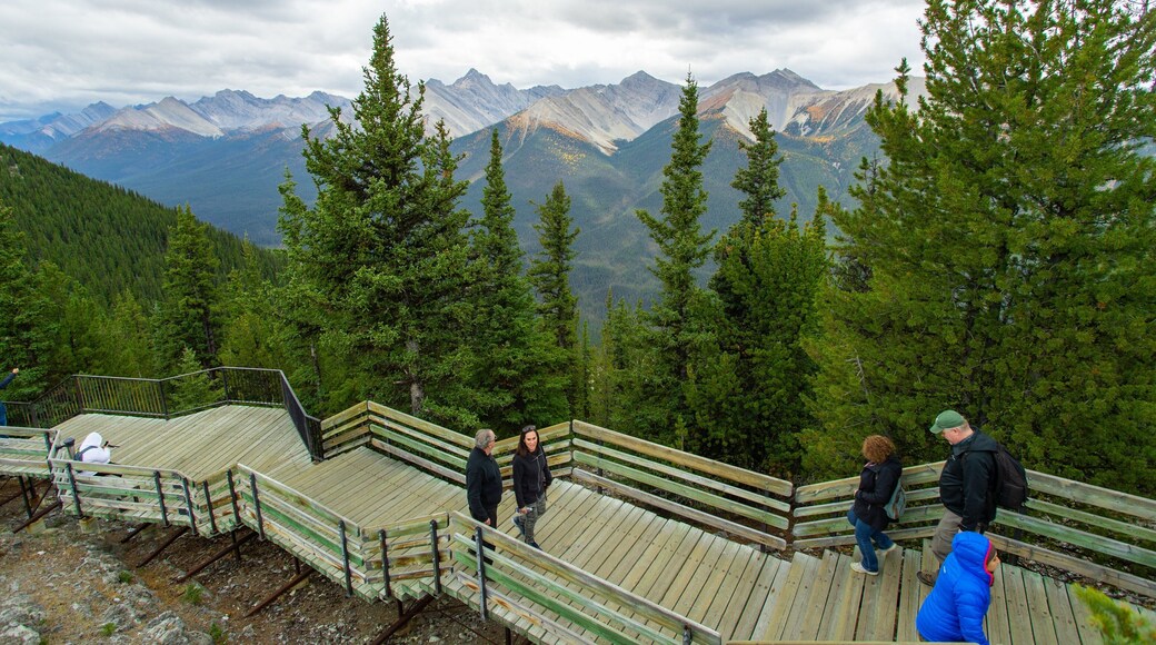 Banff Gondola featuring tranquil scenes, mountains and views