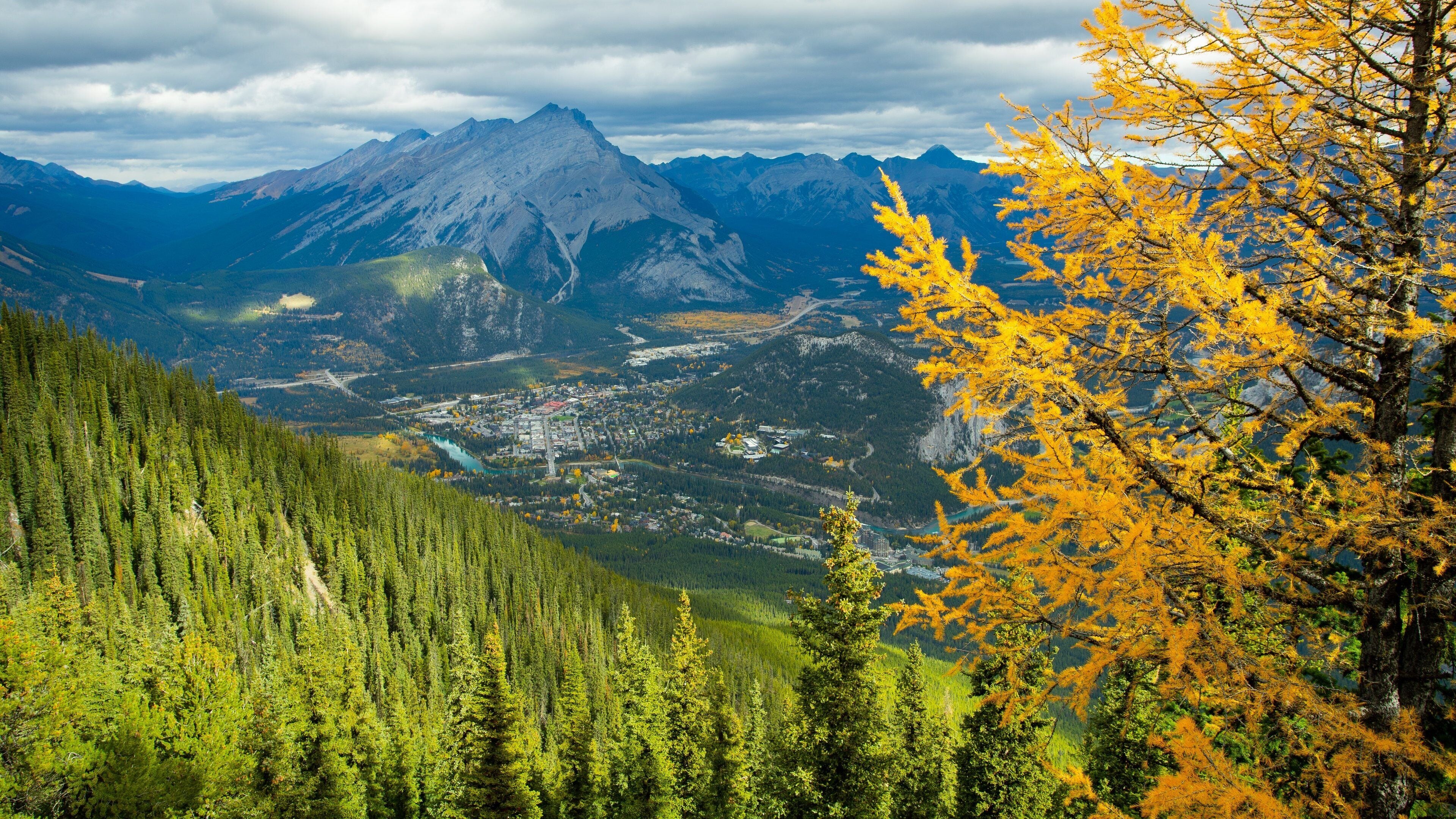Banff Gondola which includes mountains and tranquil scenes