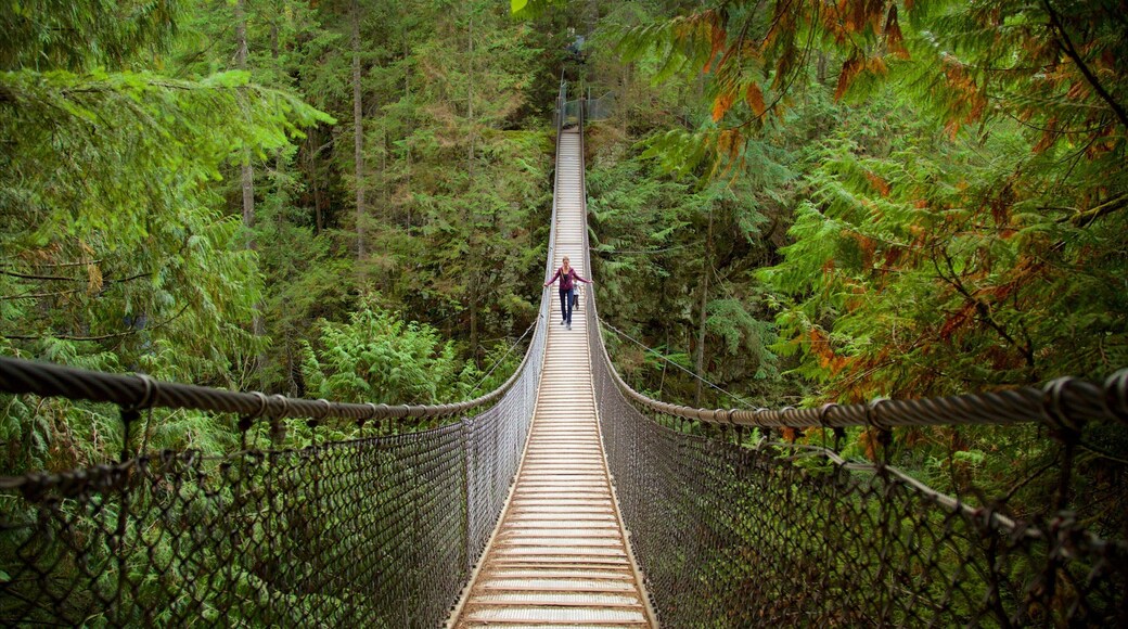 Parque Lynn Canyon ofreciendo bosques y un puente