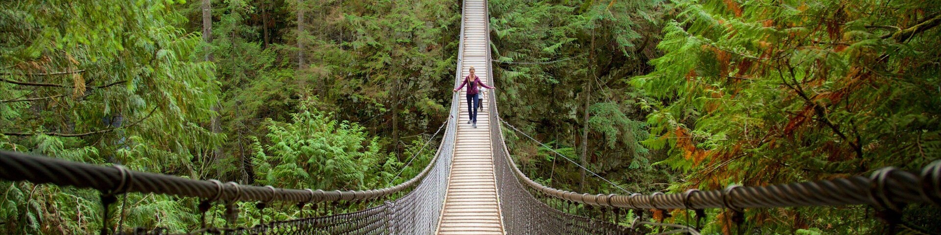 Lynn Canyon Park showing a bridge and forest scenes