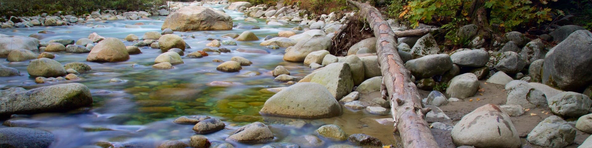 A river with clear water, surrounded by rocks and trees.
