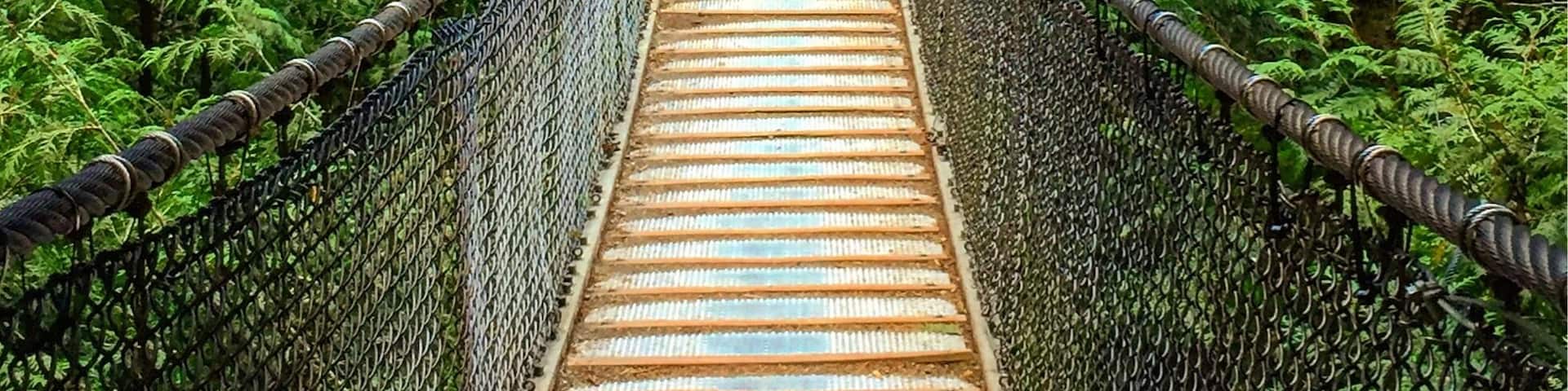 Un pont suspendu situé dans une zone boisée.