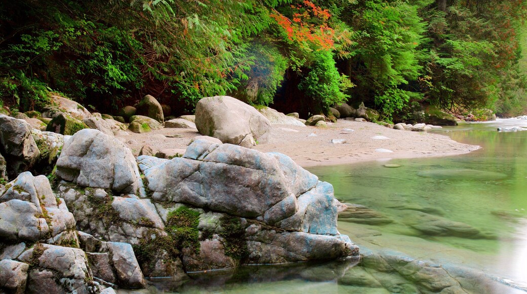 Parque Lynn Canyon ofreciendo un río o arroyo y bosques